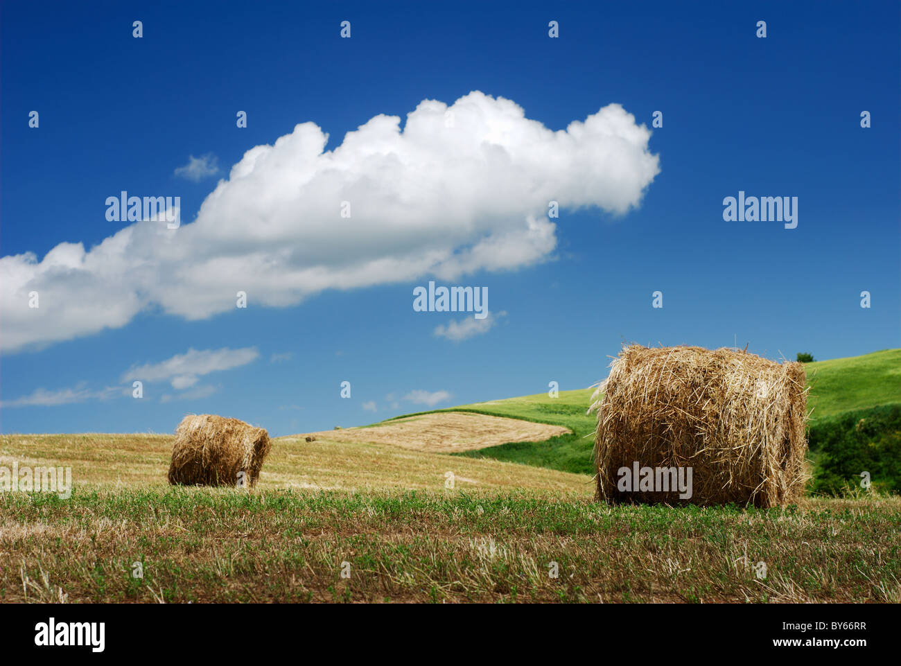 Hay bales over the hillside under blue sky Stock Photo - Alamy