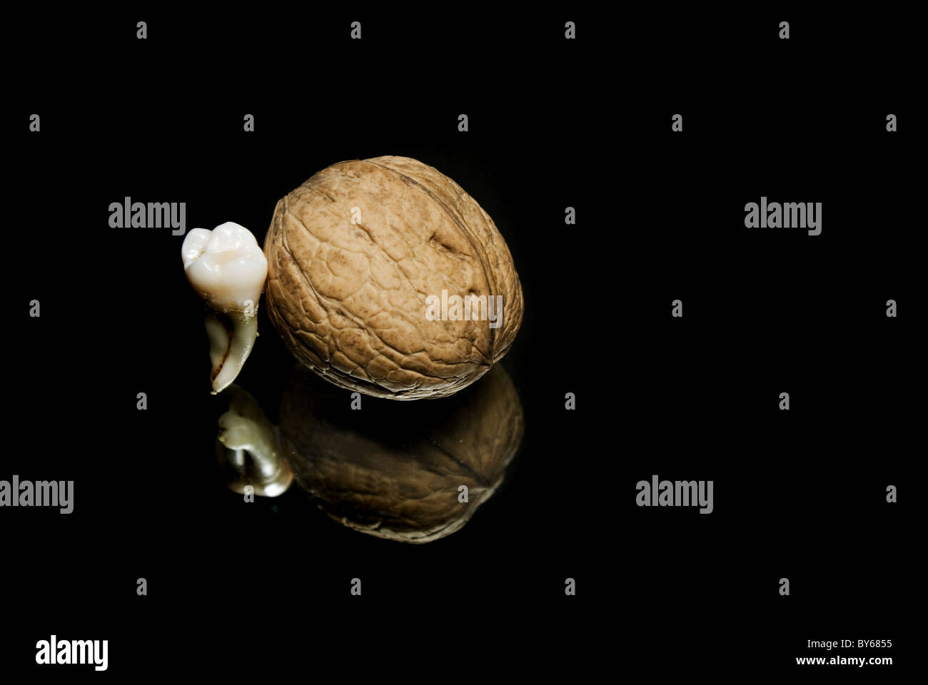It's tough nut to crack. Conceptional photography of human tooth with walnut on the black background. Stock Photo