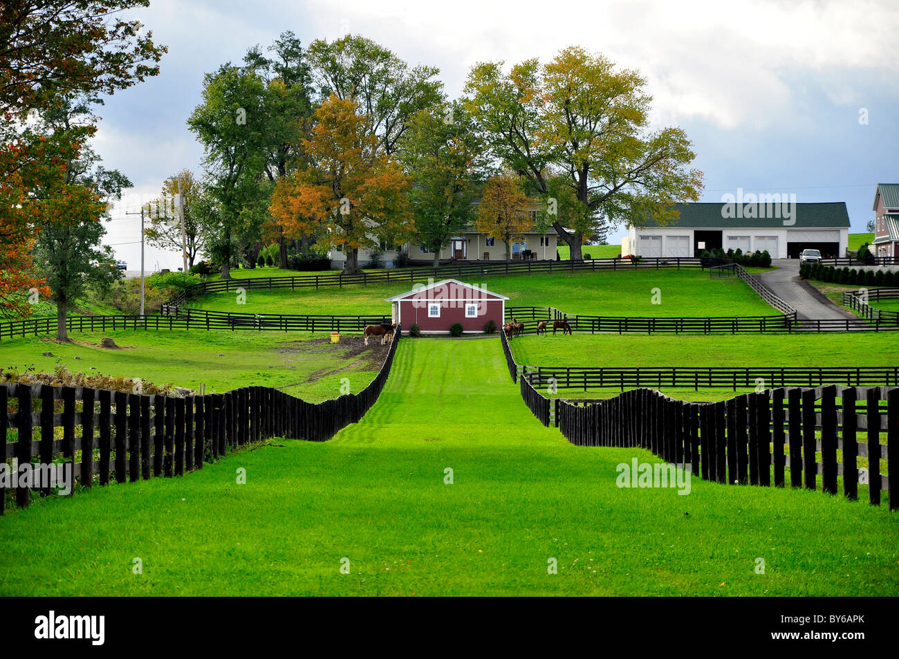A horse ranch in Upstate New York Stock Photo Alamy