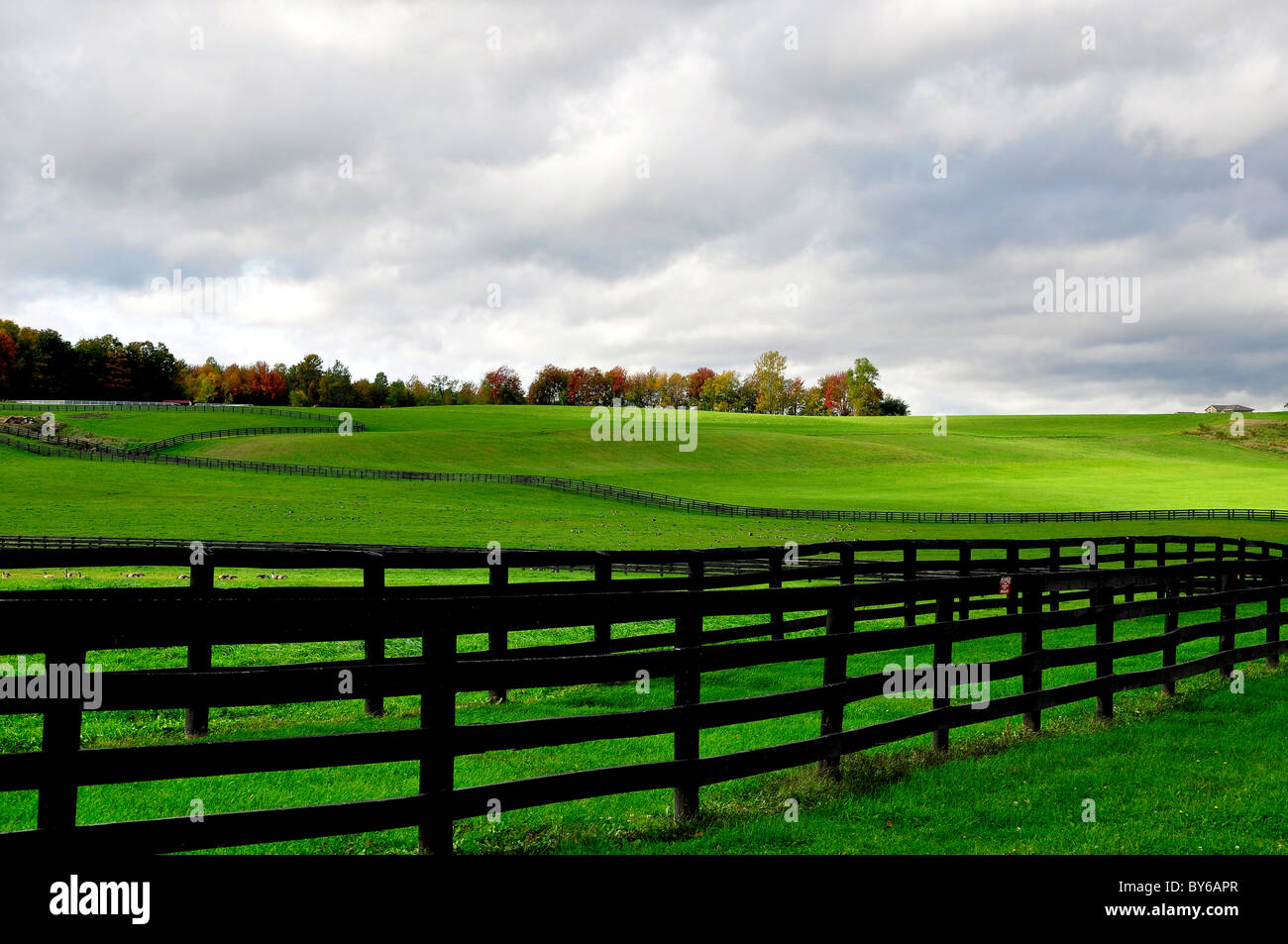 Rural Horse Ranch in Upstate New York. Stock Photo