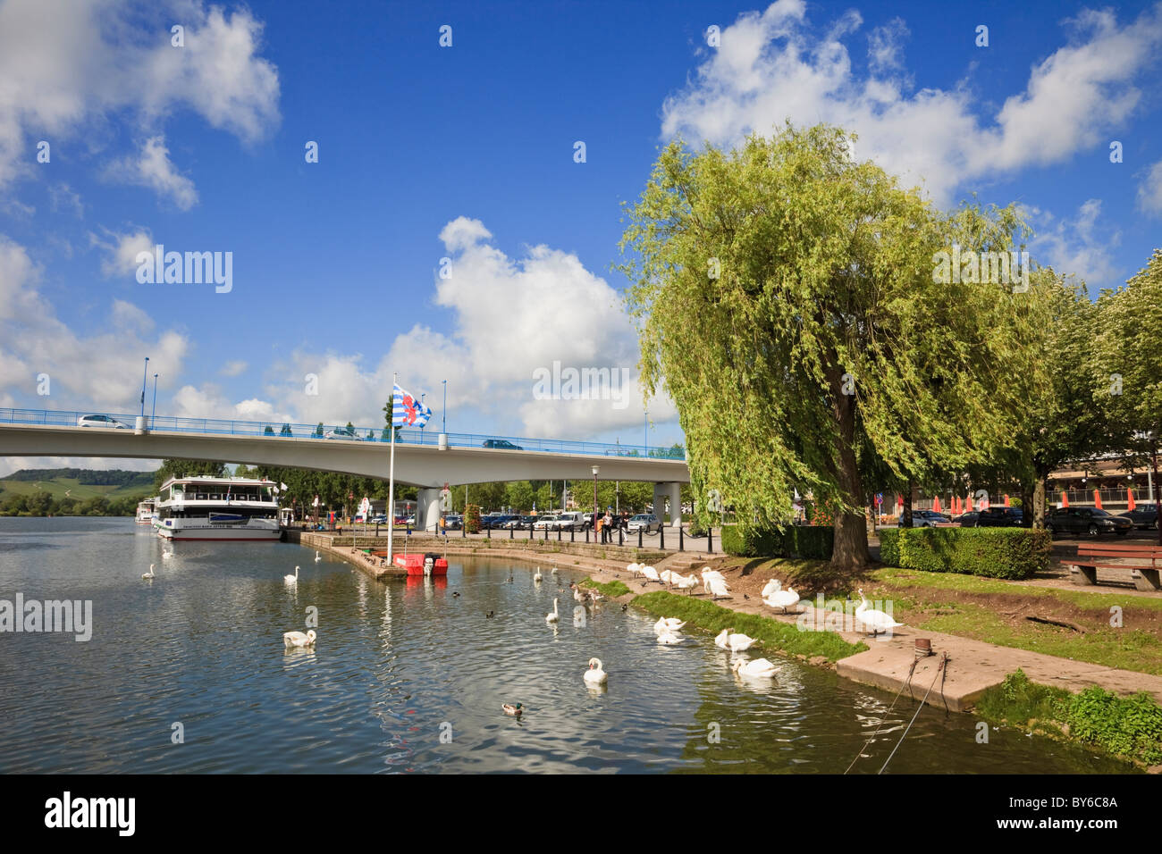 Remich Grand Duchy of Luxembourg Moselle River, swans, national flag and cruise boat by road bridge to Germany on German border Stock Photo