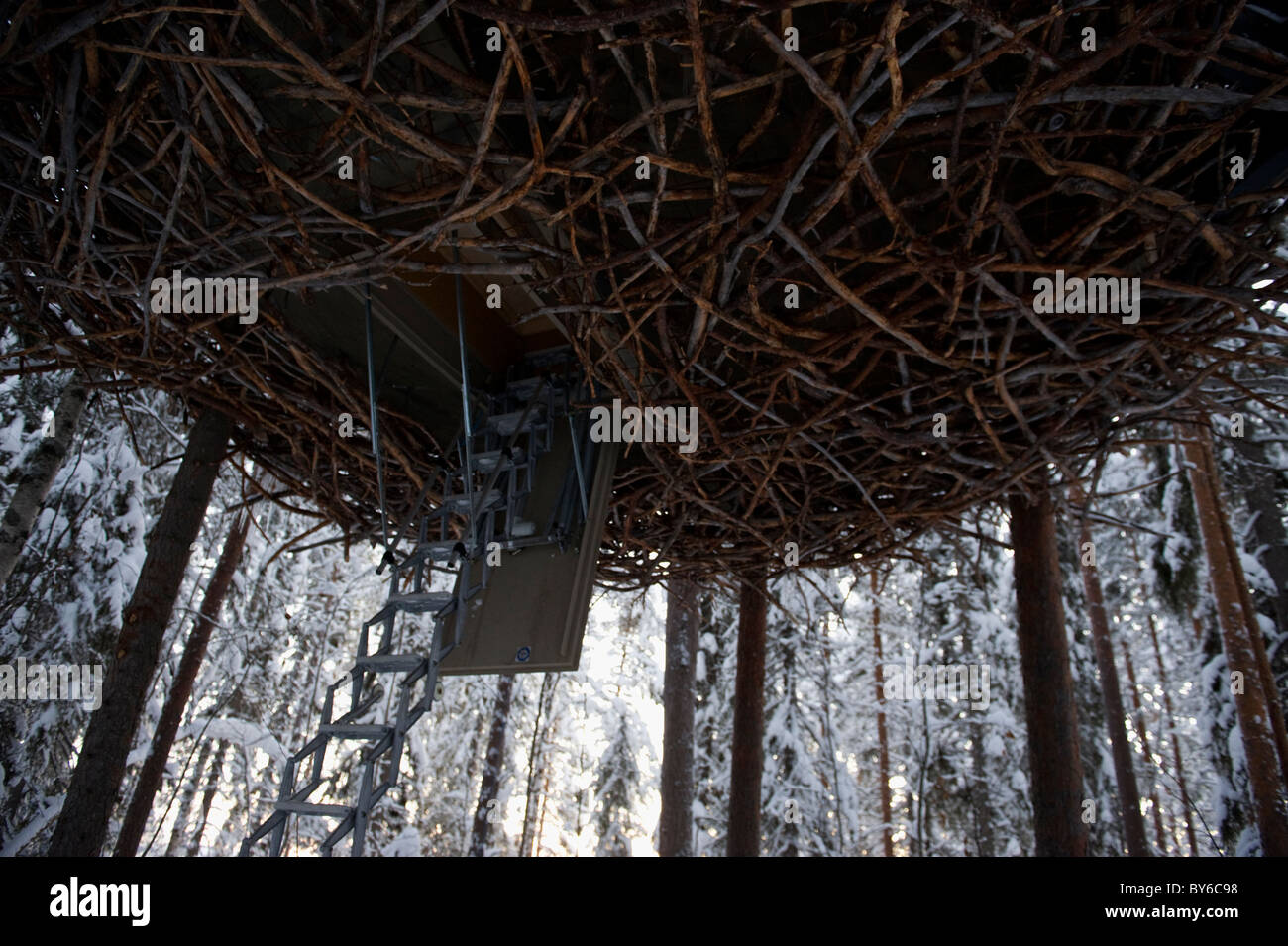 The treehotel, architecture designed rooms in trees Stock Photo
