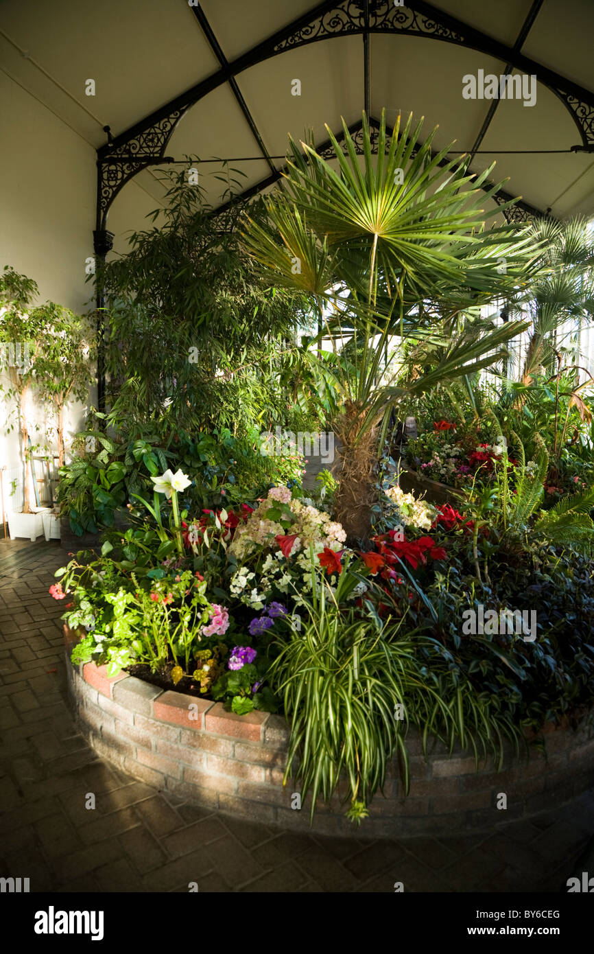 Buxton Pavillion Gardens (Botanical Garden) tropical plants / plants