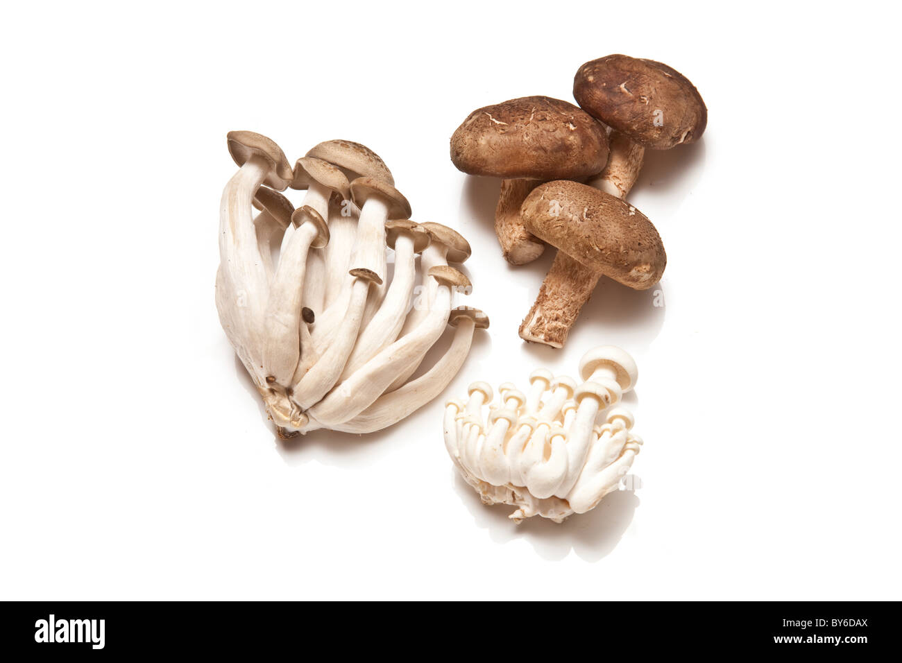 Chinese mushrooms, Enoki,Hon-shimeji and Shitake isolated on a