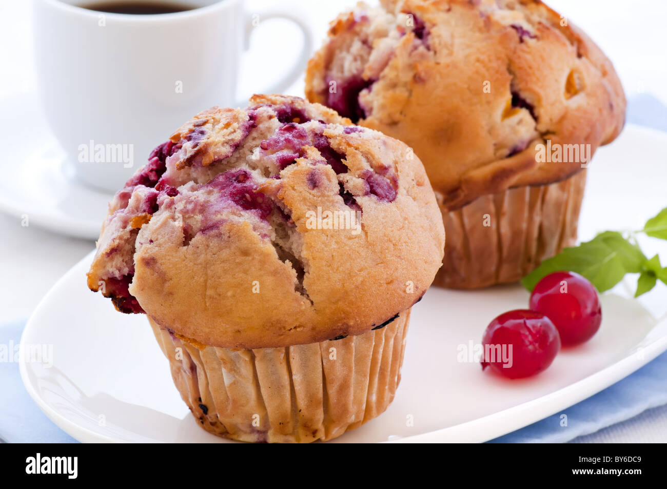 Blueberry muffin as closeup on white background Stock Photo