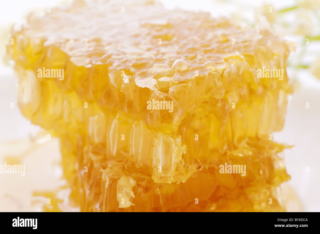 Piece of a honeycomp with dripping honey as closeup Stock Photo