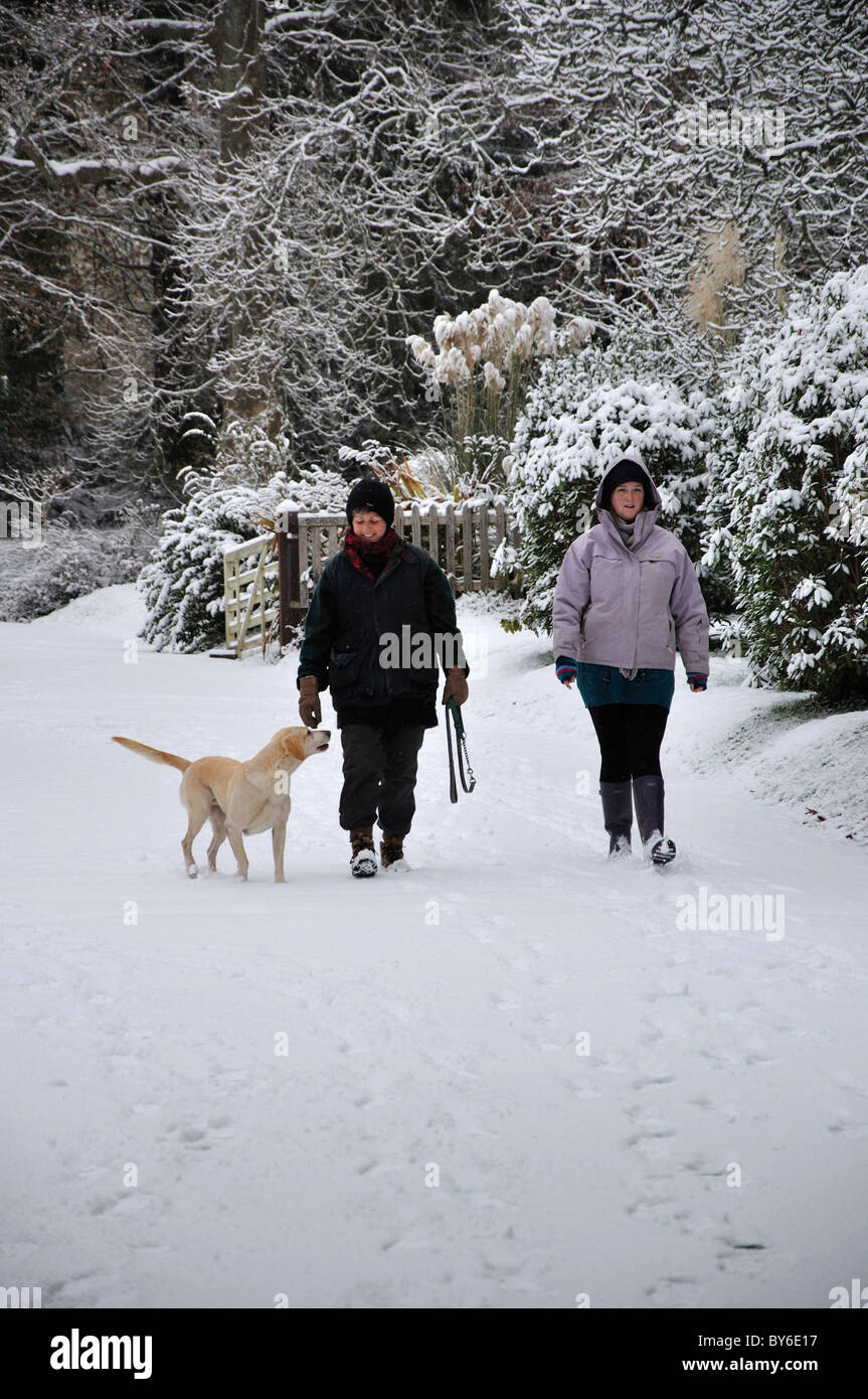 Women with a dog hi-res stock photography and images - Alamy