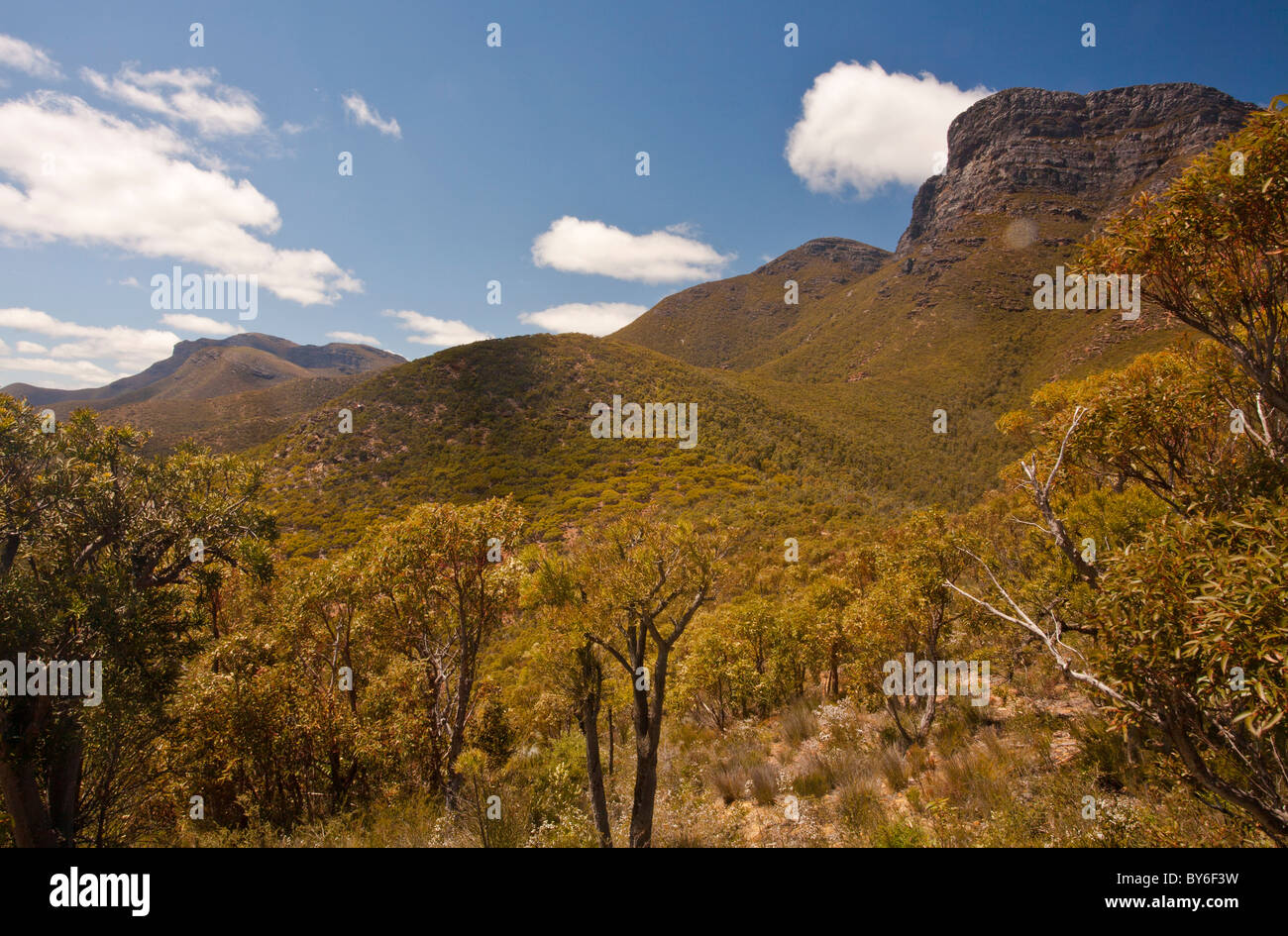 Bluff Knoll, Stirling Range National Park, Albany, Western Australia Stock Photo