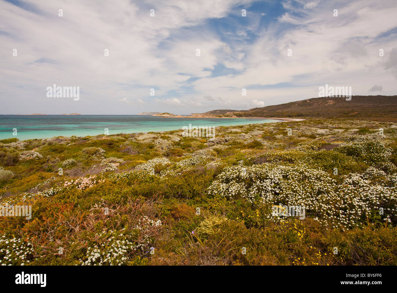 Wildflowers and turquoise sea at Rossiter Bay, Cape le Grand National Park, Esperance, Western Australia Stock Photo
