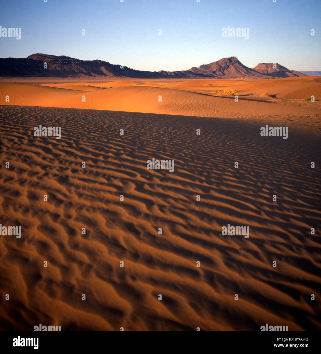 Sand dunes Sahara desert Zagora Morocco Africa Stock Photo - Alamy
