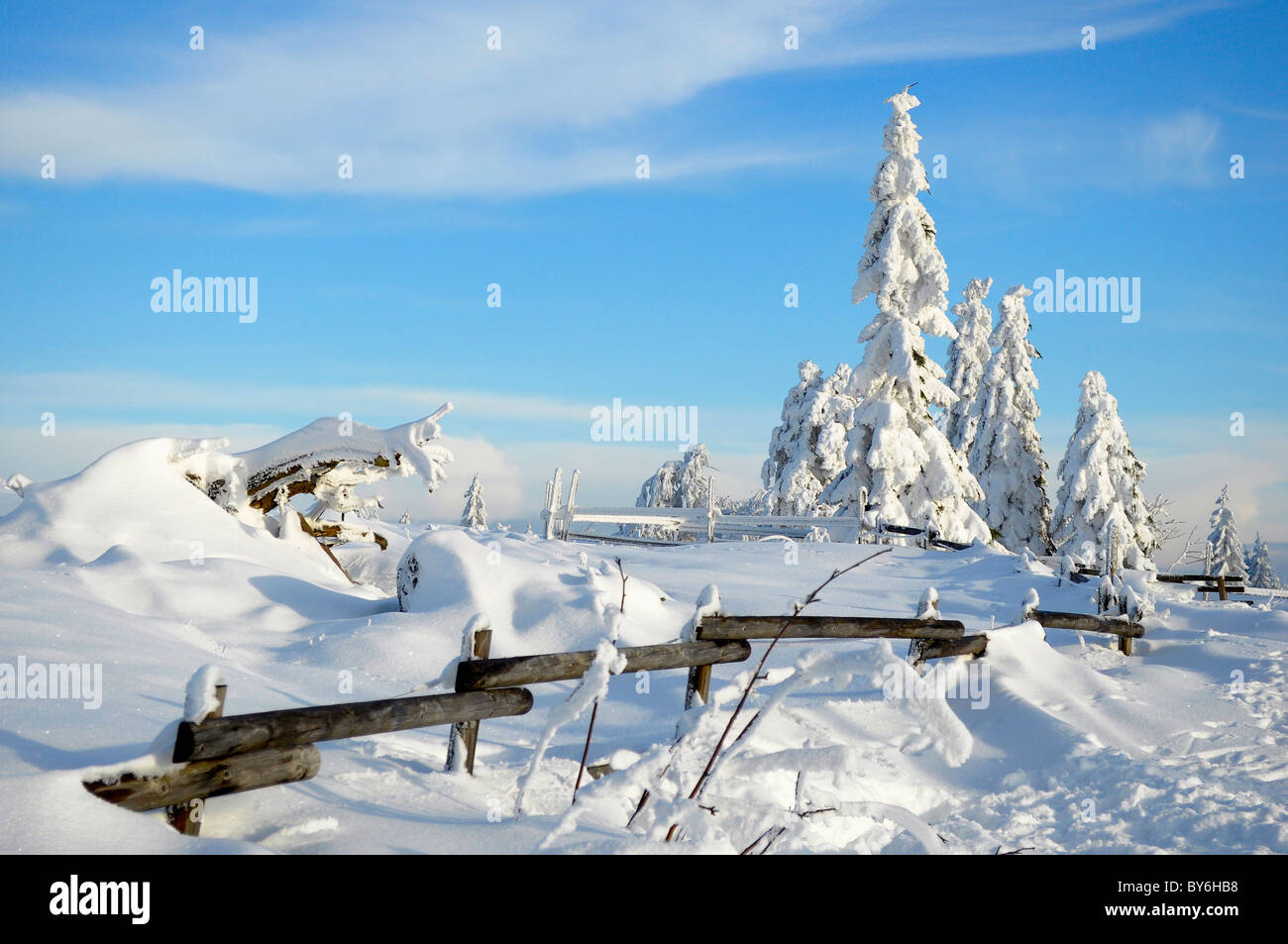 Black Forest in winter, spruce forest, Schwarzwald im Winter, Fichtenwald, Schwarzwaldhochstraße, Schneelandschaft, am Schliffko Stock Photo