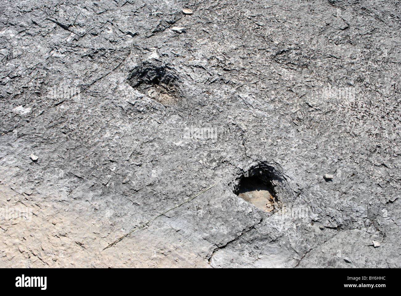Bendricks Rocks prehistoric dinosaur footprints in the rock Stock Photo - Alamy
