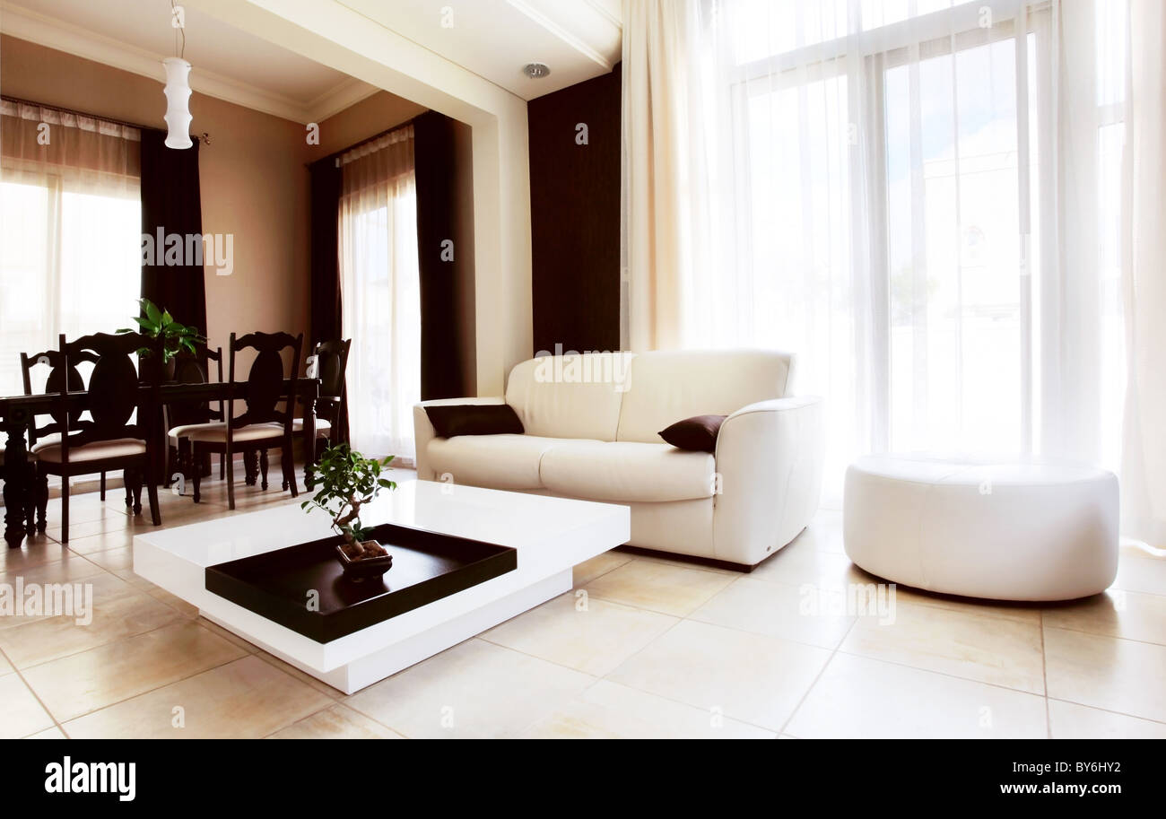 Luxury apartment with stylish modern interior design Stock Photo
