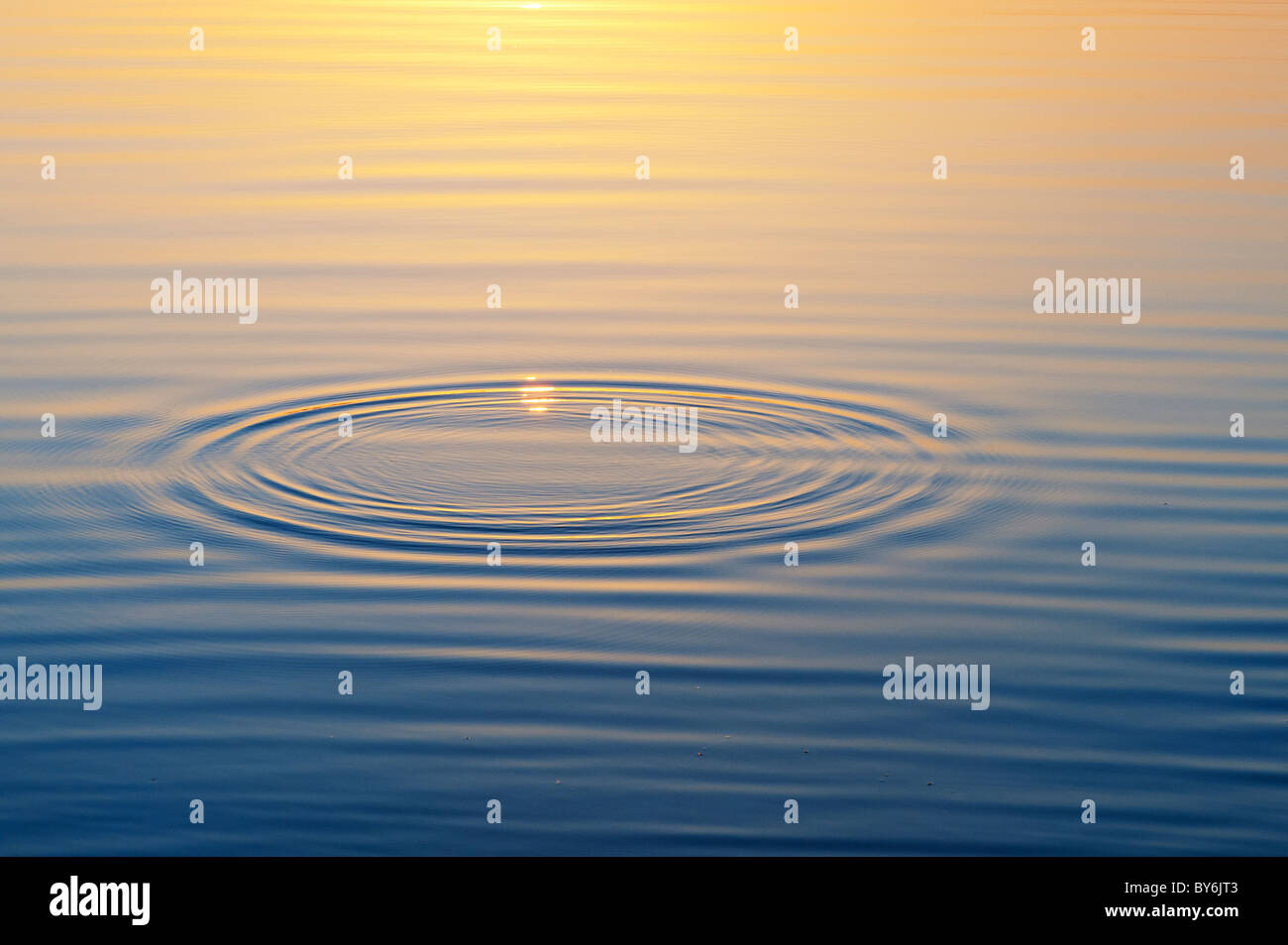 Golden water ripples at sunset on a lake in India Stock Photo Golden water ripples at sunset on a lake in India Stock Photo