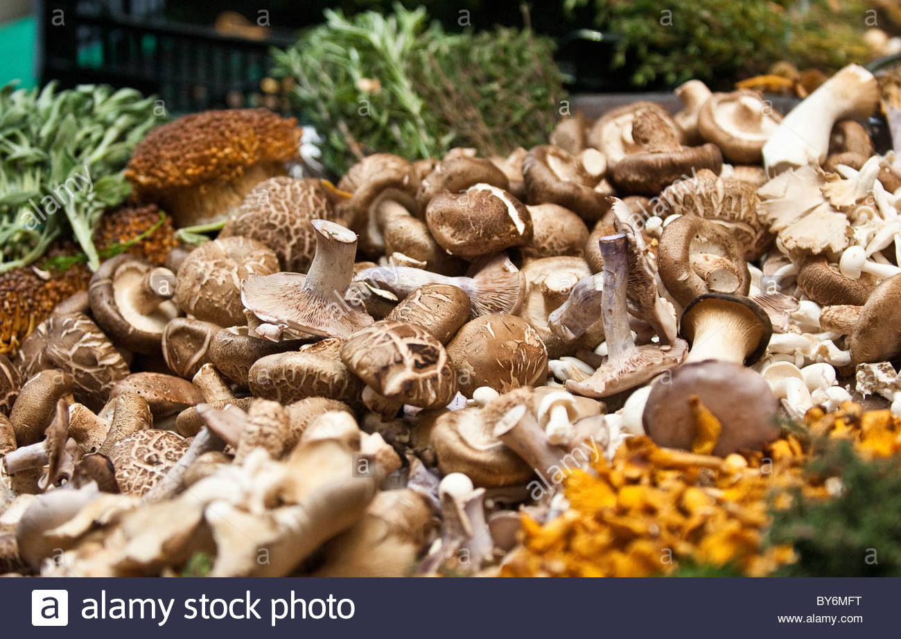 Wild mushrooms displayed on stall in Borough Market, London, UK Stock