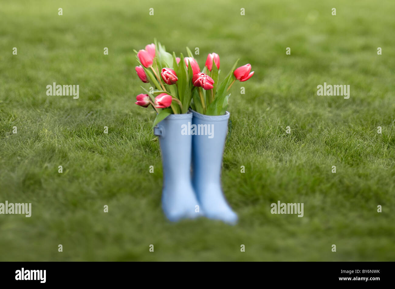 Pair of garden boots hi-res stock photography and images - Alamy