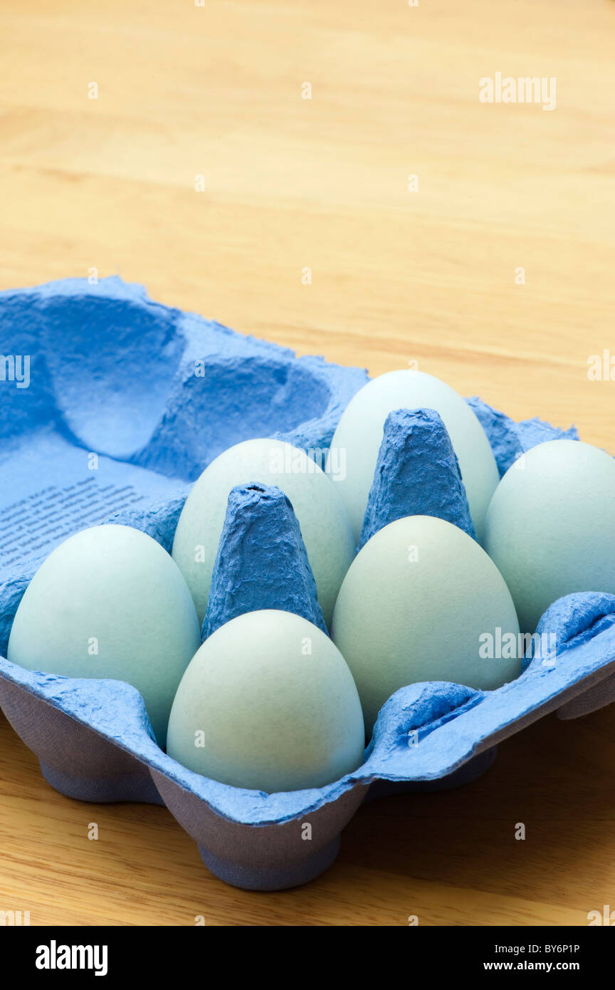 Old Cotswold Legbar hen's eggs in a blue egg carton Stock Photo Alamy