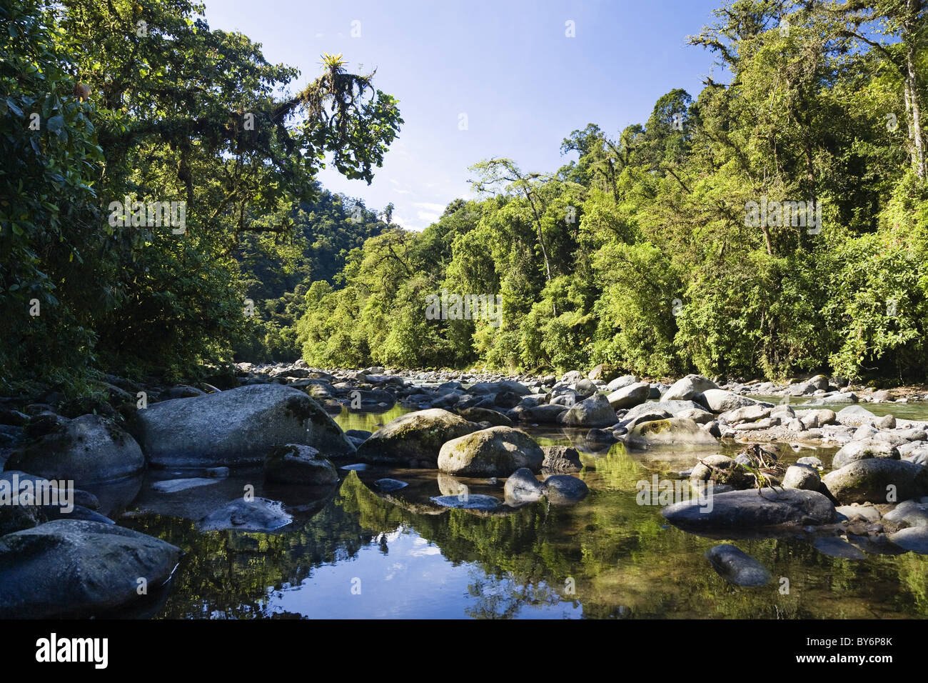 Rainforest, Orosi river, Tapanti National Park, Costa Rica Stock Photo