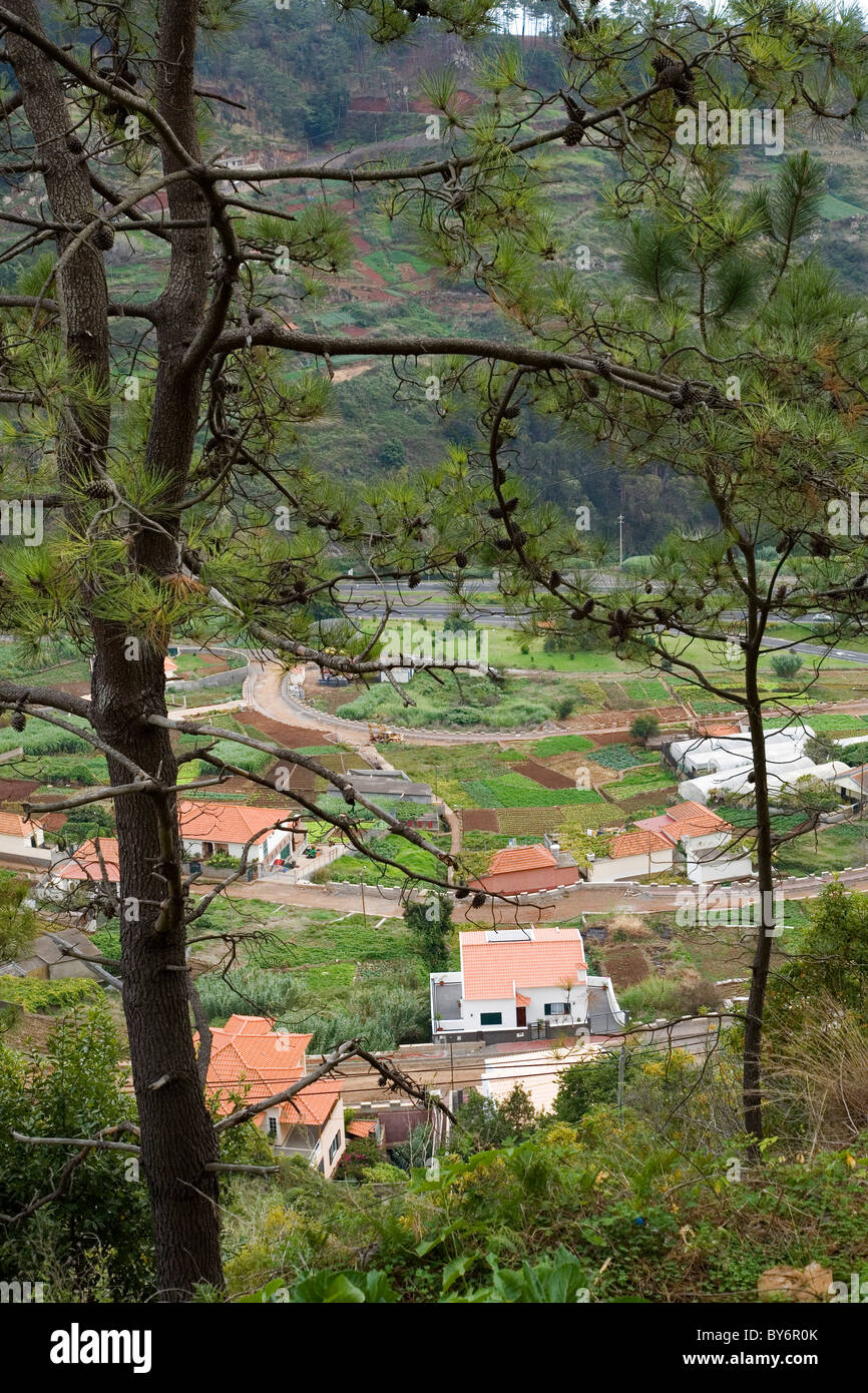 Cultivated valley floor on Madeira Stock Photo
