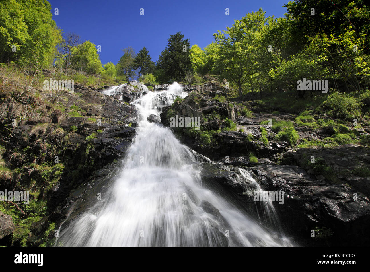 Baden wuertt hi-res stock photography and images - Alamy