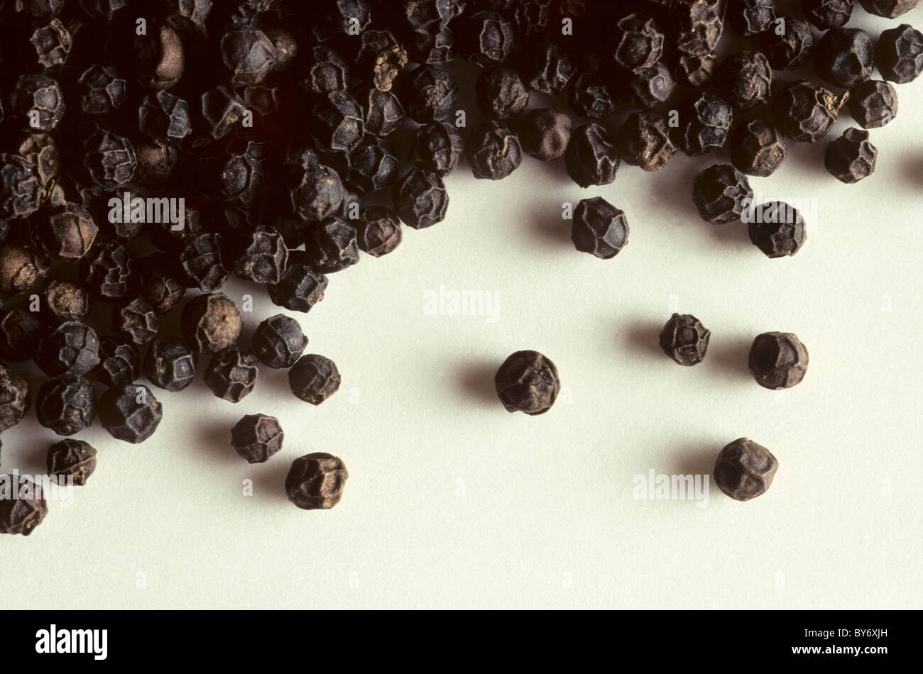 Whole black peppercorns on a white surface Stock Photo