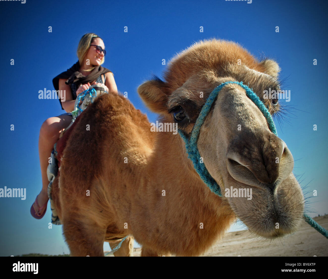 Tourist riding camel on Sahara desert excursion, Tunisia Stock Photo