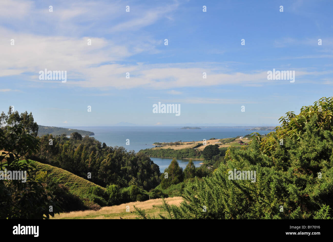 Blue sky valley view, with steep sides, trees and grass, of the Gulf of Ancud and distant Andean volcanoes, Chiloe Island, Chile Stock Photo