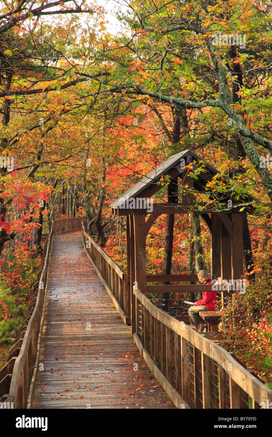 Bald Rock Trail Boardwalk, Cheaha State Park, Delta, Alabama, USA Stock