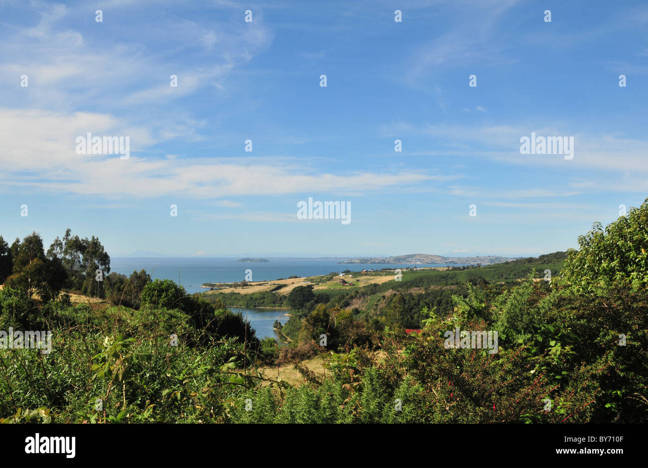 Blue sky valley view of Fuchsia bush and fields towards the Gulf of Ancud and distant Andean volcanoes, Chiloe Island, Chile Stock Photo