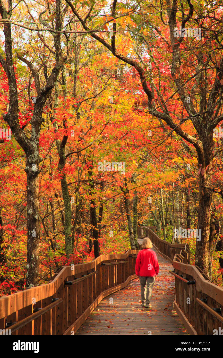 Bald rock trail boardwalk state hires stock photography and images Alamy