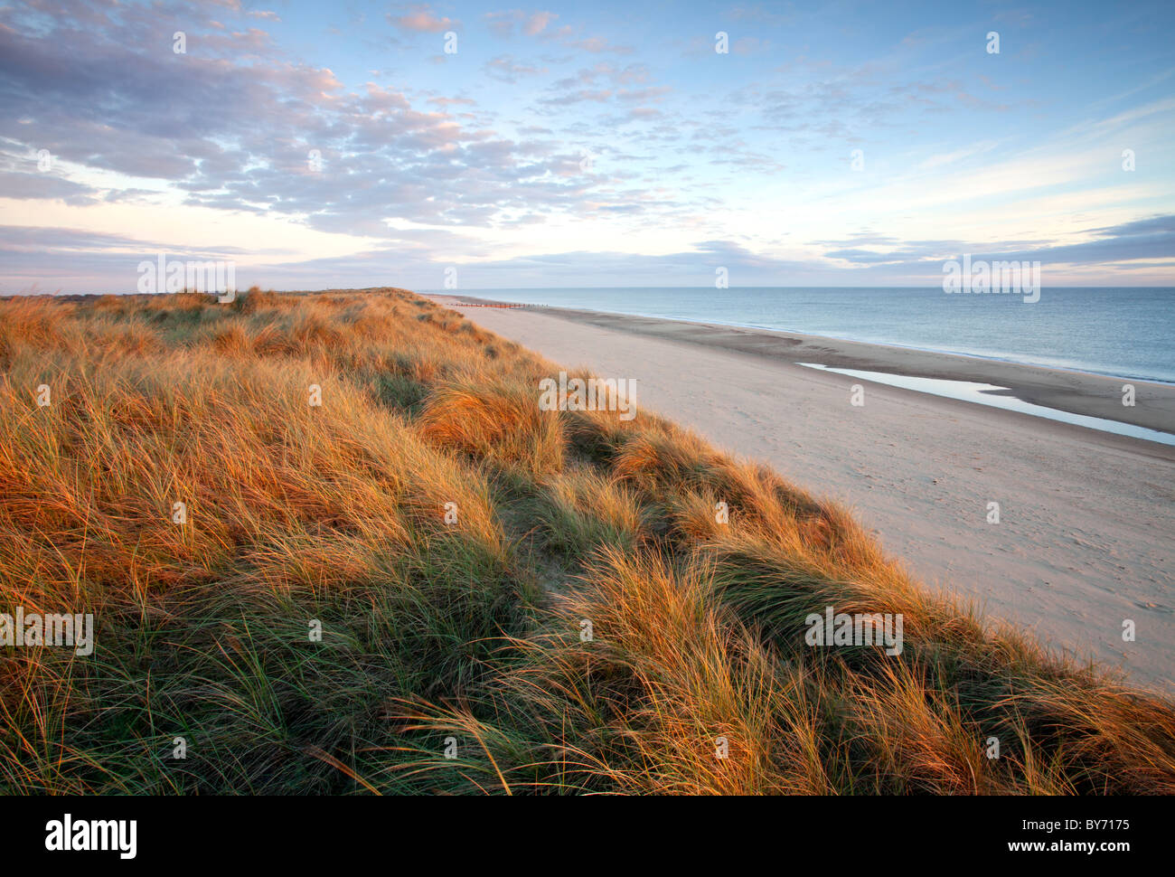 Dunes at Horsey beach on the Norfolk Coast Stock Photo