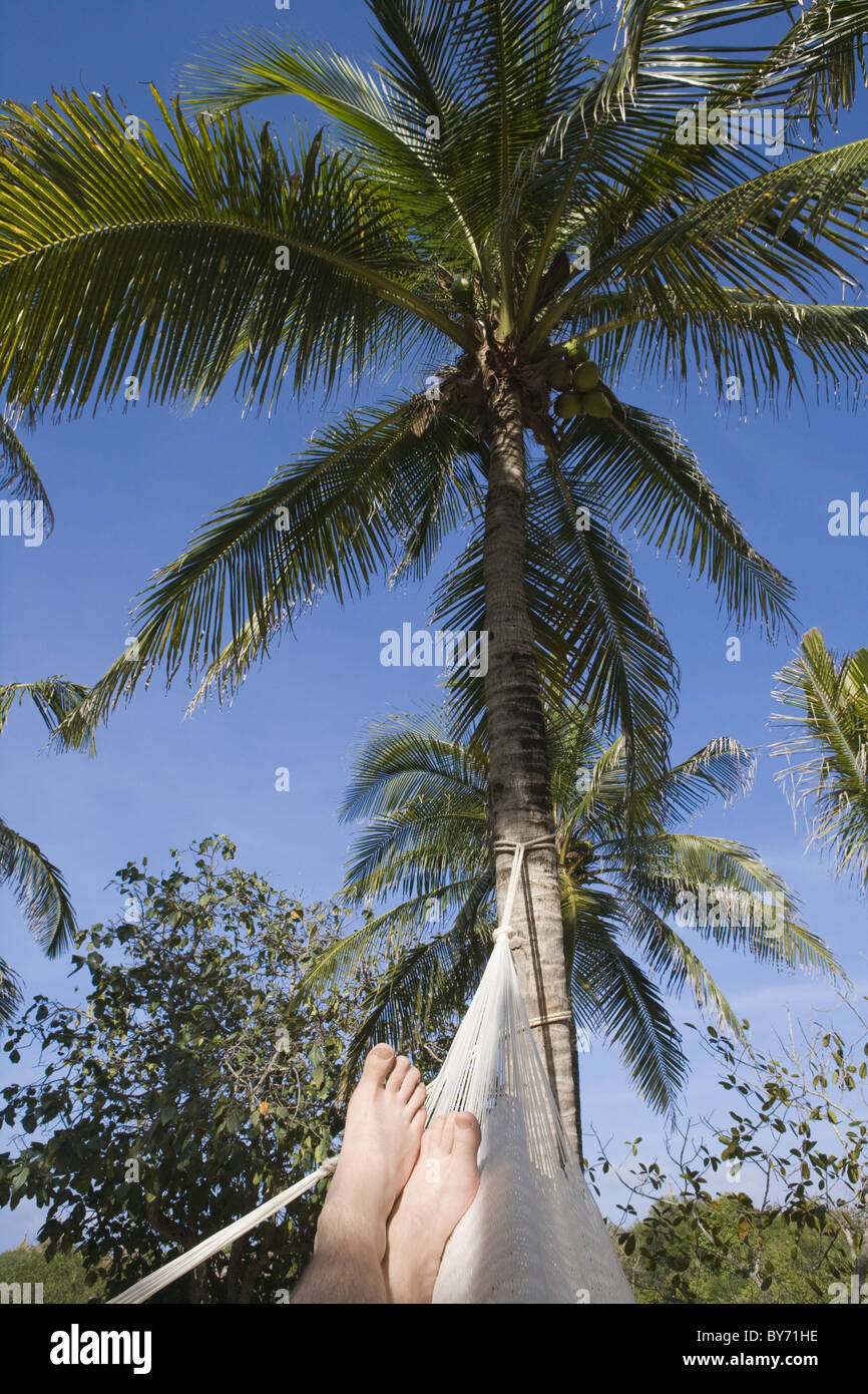Xel ha water park hires stock photography and images Alamy