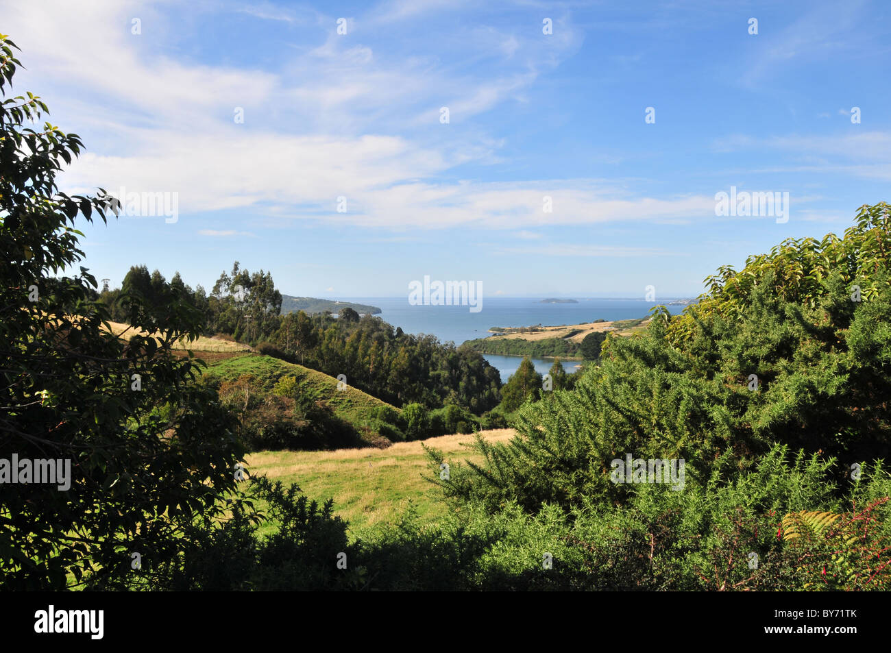 Blue sky view of a small valley in farmland trees looking towards the