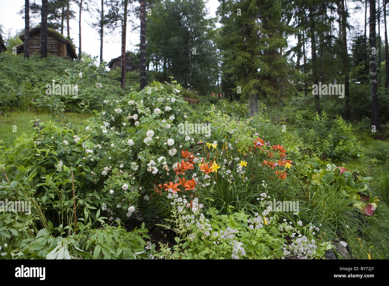 Garden at Sunnmore OpenAir Museum, Alesund, More og Romsdal, Norway