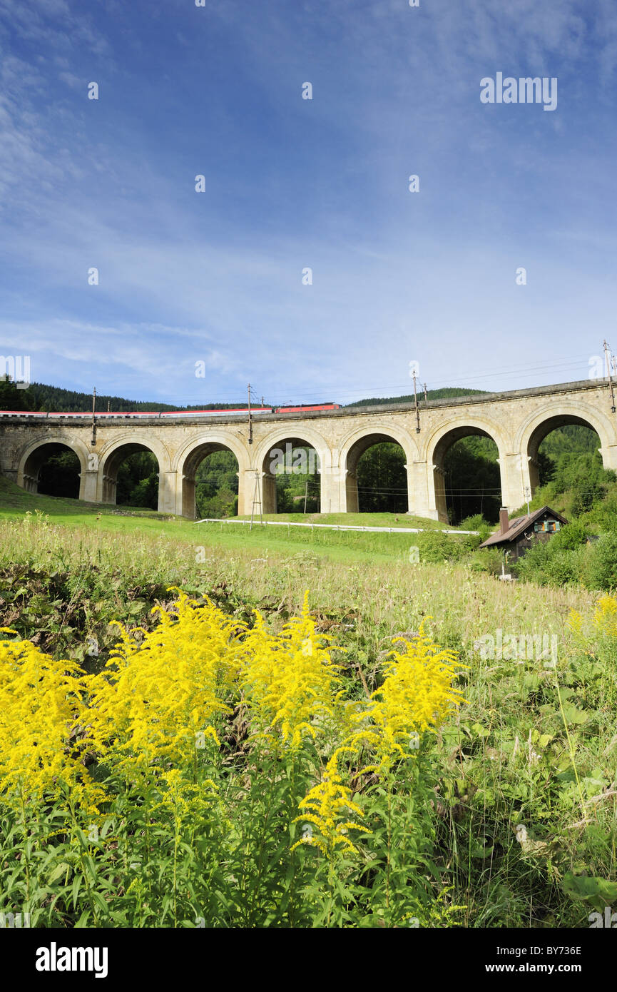 Train passing Fleischmannviaduct, Semmering railway, UNESCO World ...