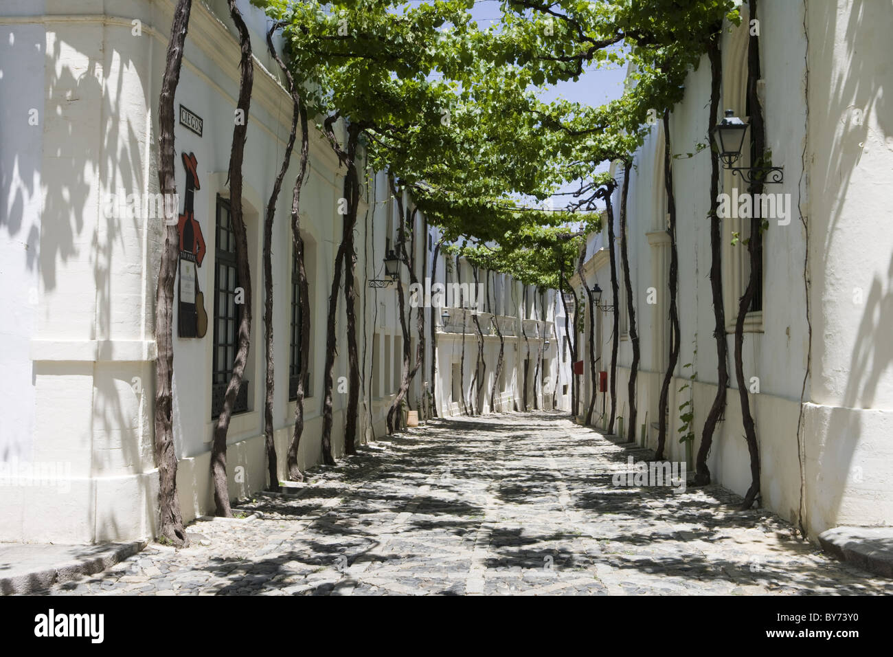 Buildings At Bodega Tio Pepe Gonzales Byass Winery Jerez De La Stock Photo Alamy