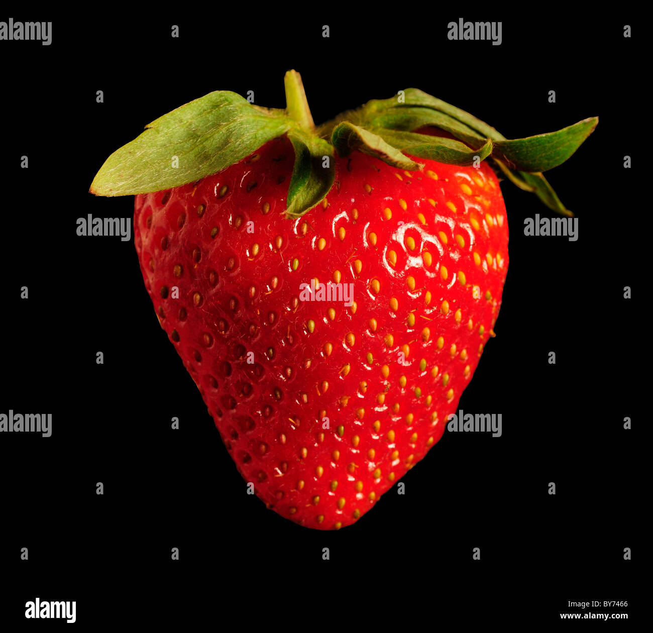 Single red strawberry against black background. Square Stock Photo