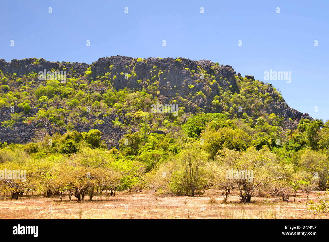Landscape on the western edge of Ankarana National Park in northern Madagascar. Stock Photo