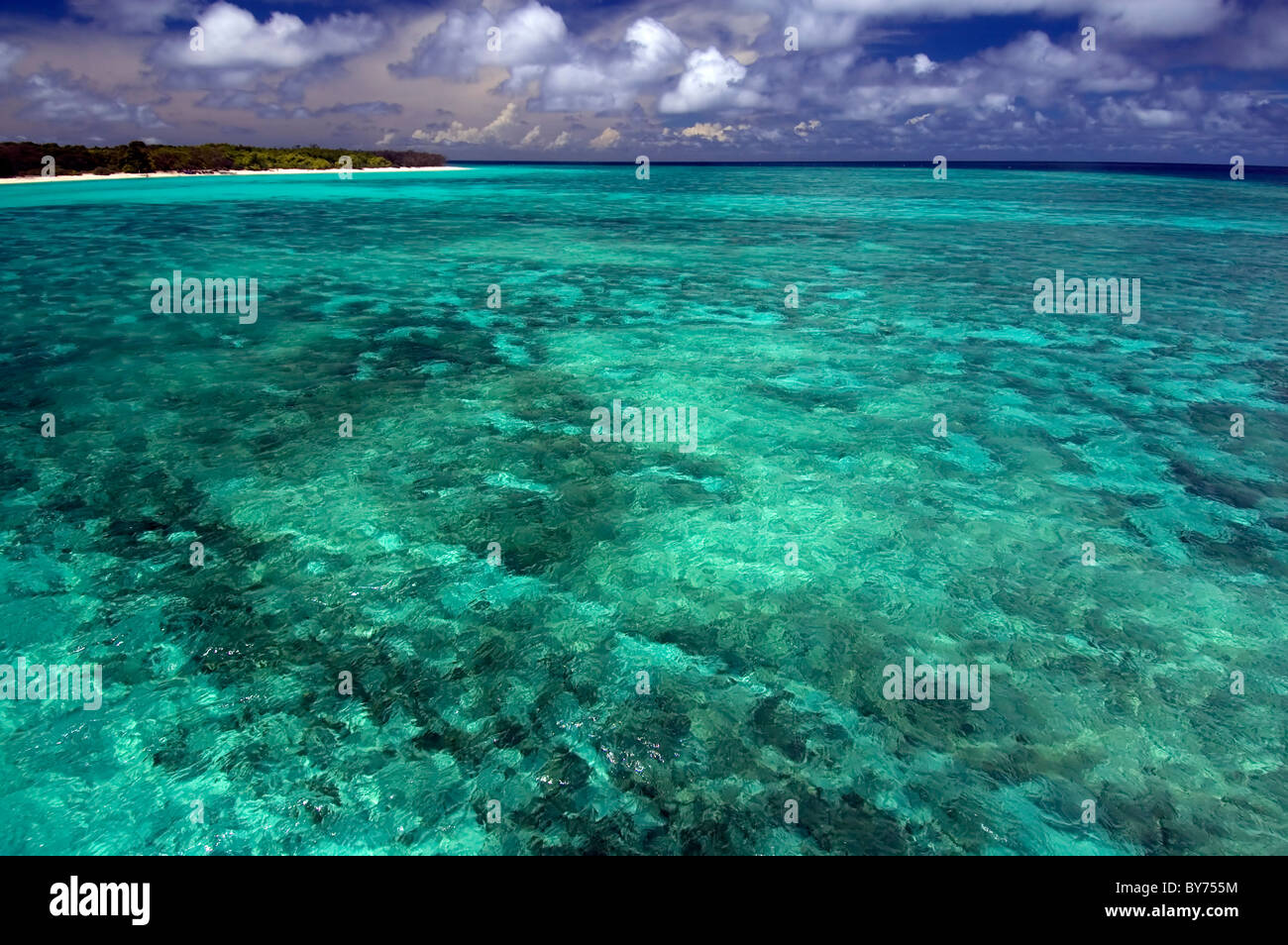 Reef surrounding North West Island, Capricorn Bunker Group, southern Great Barrier Reef Marine Park, Queensland, Australia Stock Photo