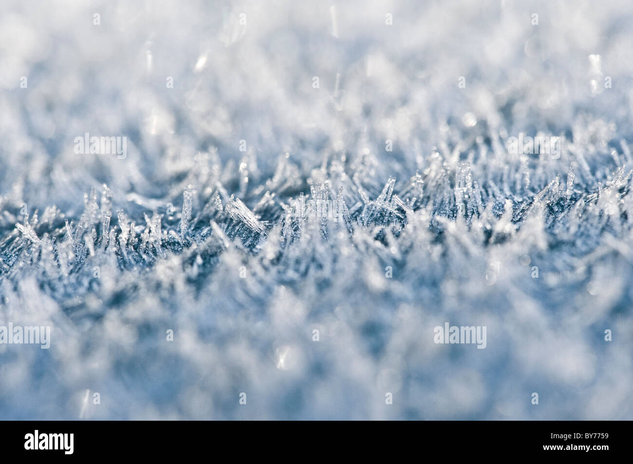 Closeup of ice crystals caused by heavy frost Stock Photo Alamy
