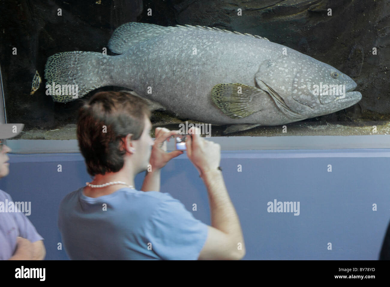 GA, South, Atlanta, Pemberton Place, Aquarium