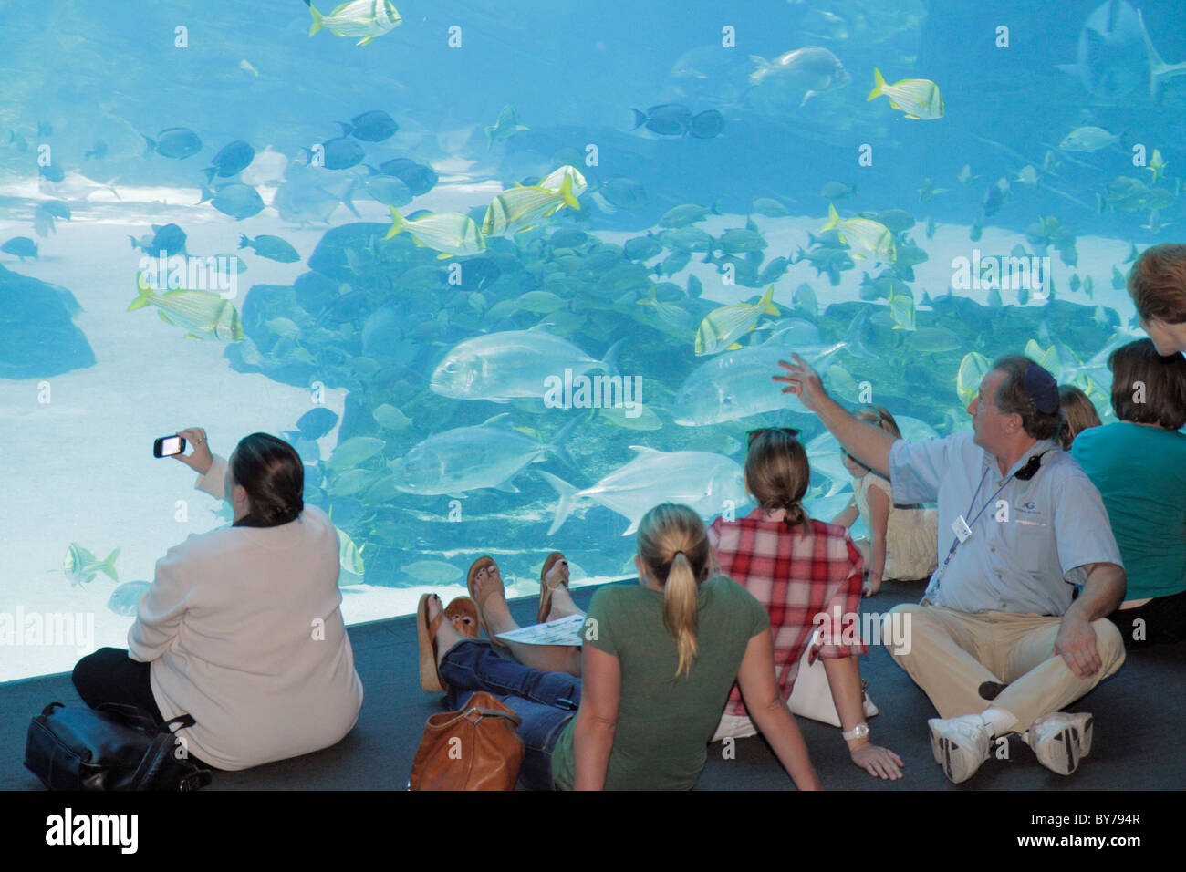 Atlanta Aquarium,saltwater habitat