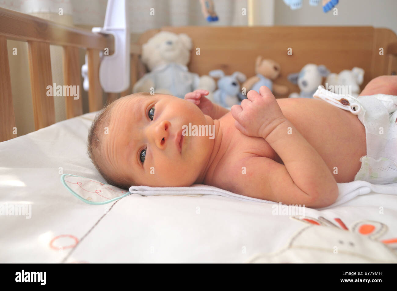 Newborn baby in his cot Stock Photo Alamy