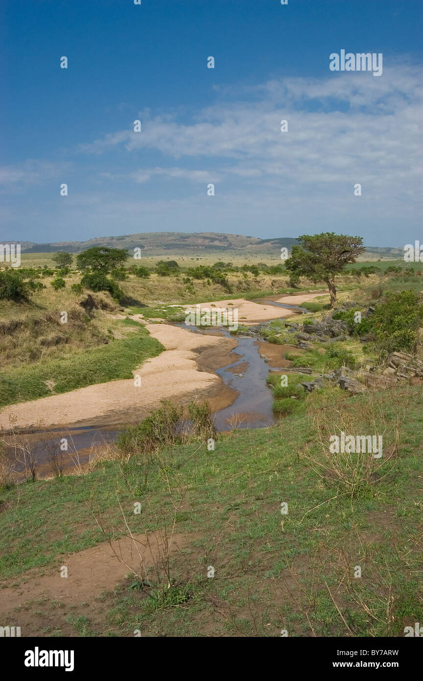 Masai mara plains trees hi-res stock photography and images - Alamy