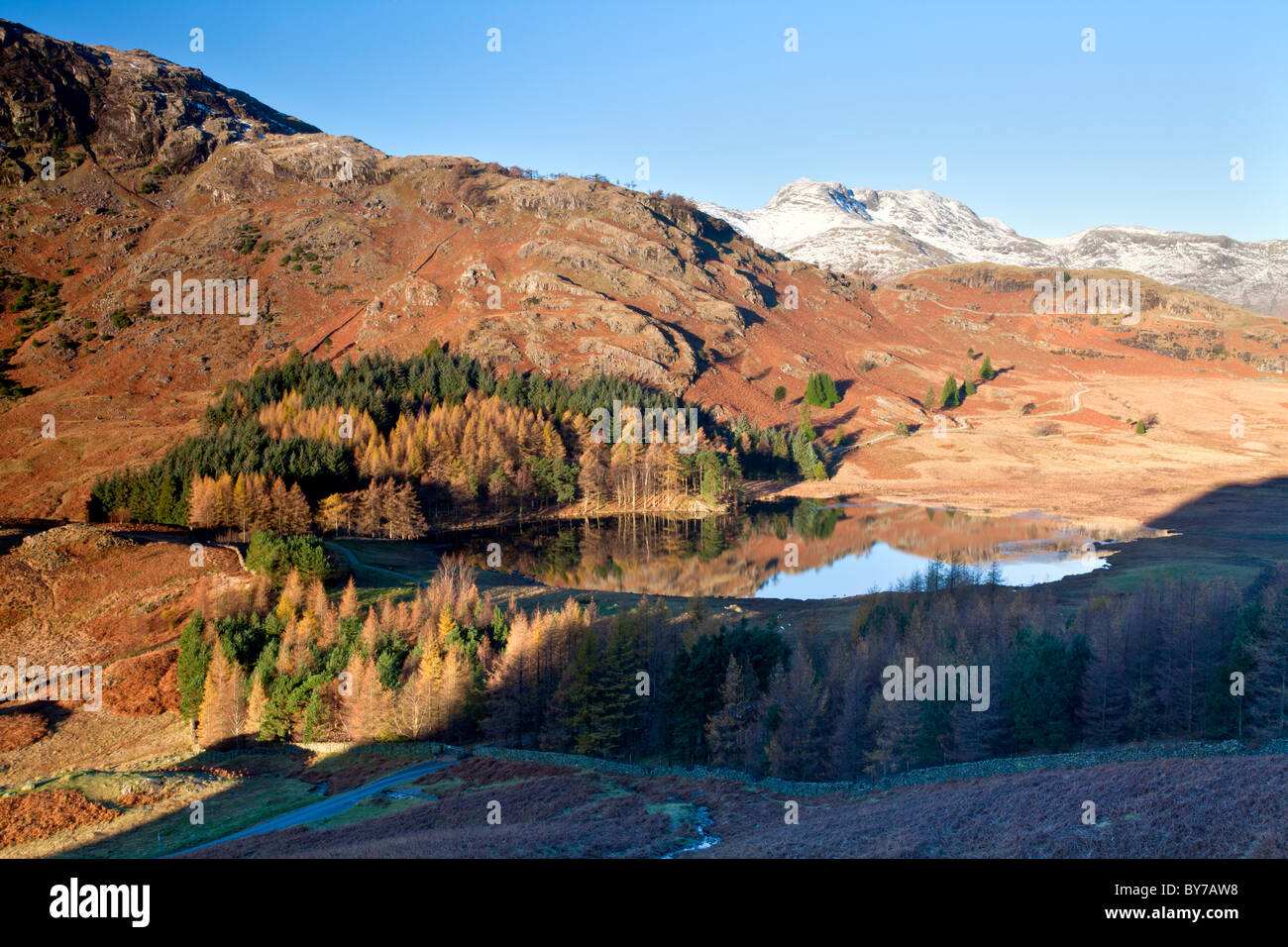 A November morning at Blea Tarn in the Lake District Stock Photo