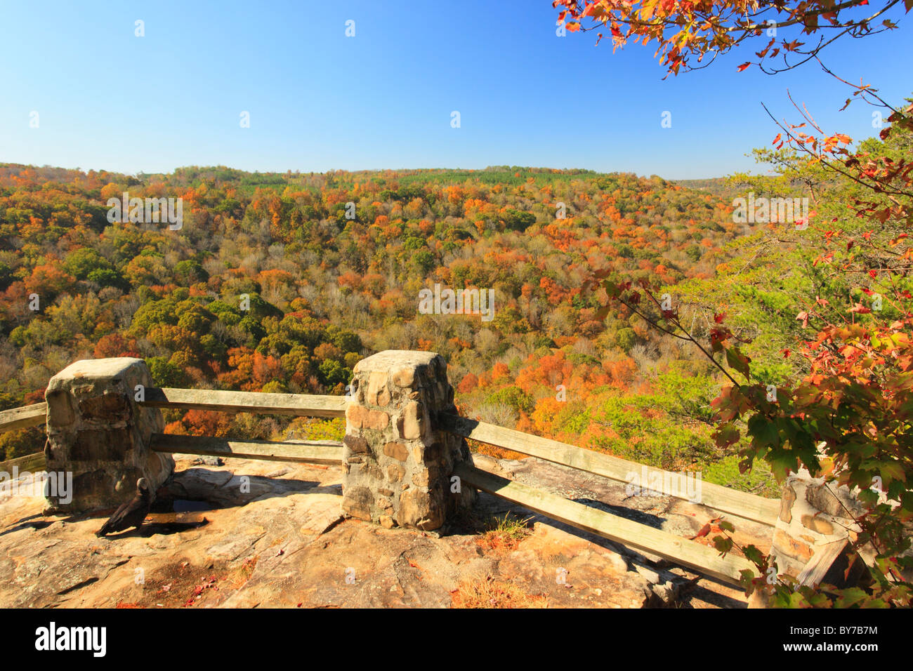 Overlook at Buck's Pocket State Park, Grove Oak, Alabama, USA Stock