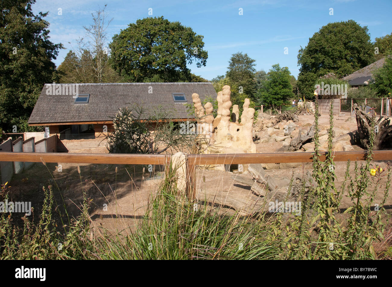 A part of Discovery Desert. The Meerkat enclosure at Jersey Zoo (Durrell Wildlife Conservation Trust) Stock Photo