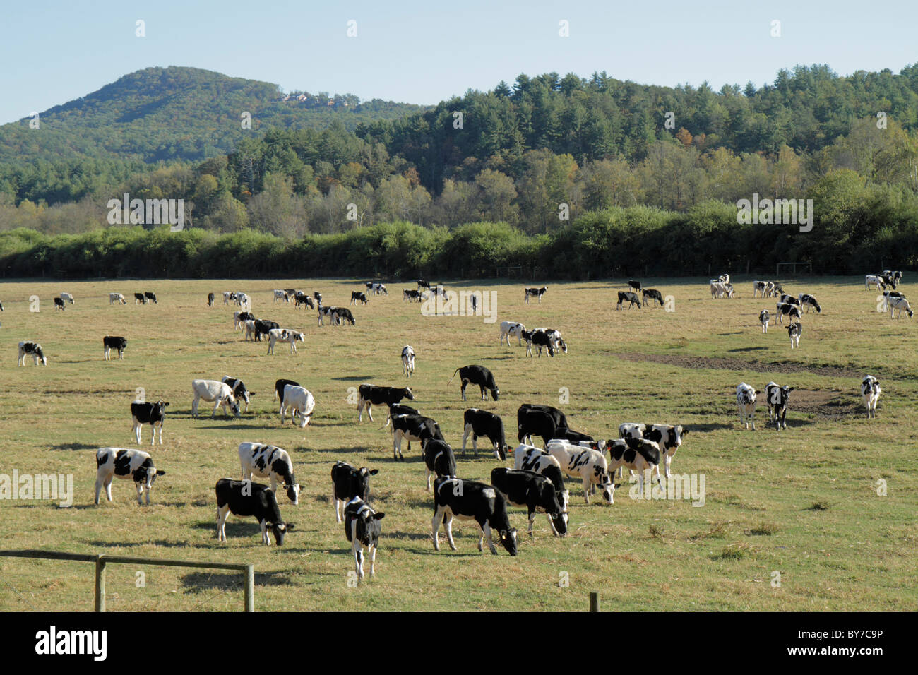 Blue ridge ga hi-res stock photography and images - Alamy