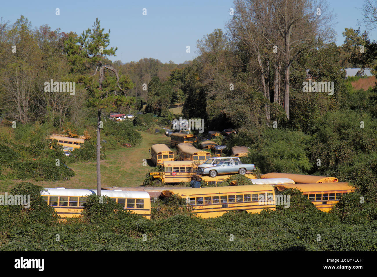 GA, South, Raoul, junkyard, scrap yard, salvage yard Stock