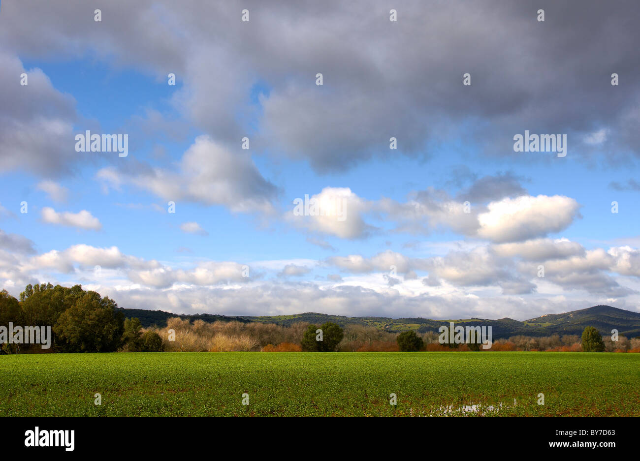 campo verde,cloudy field  environmentnatural park Andalusian landscape, Los Alcornocales Stock Photo